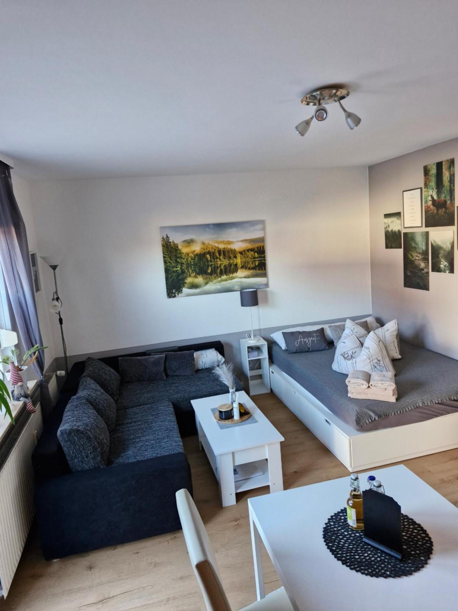 Apartment Mit Garten Bad Lauterberg Εξωτερικό φωτογραφία